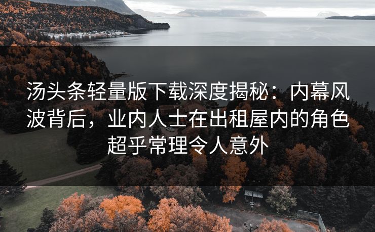 汤头条轻量版下载深度揭秘:内幕风波背后,业内人士在出租屋内的角色超乎常理令人意外