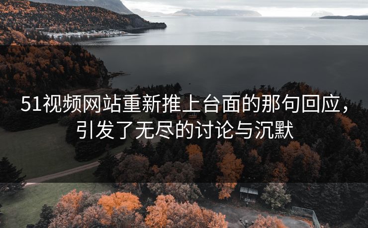 51视频网站重新推上台面的那句回应,引发了无尽的讨论与沉默